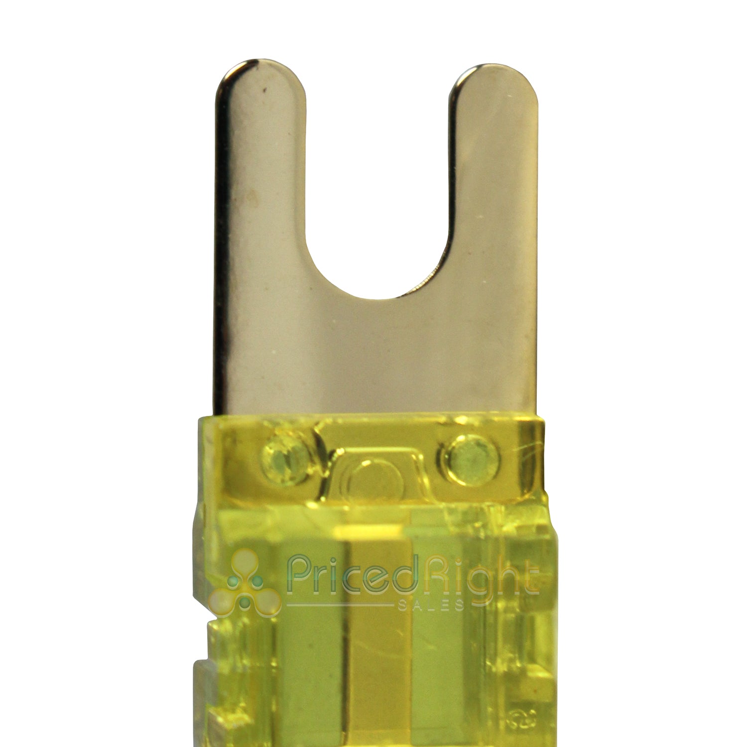 Xscorpion Mini ANL Fuses Gold Plated 100 Amp Pack of 3 MANL100G