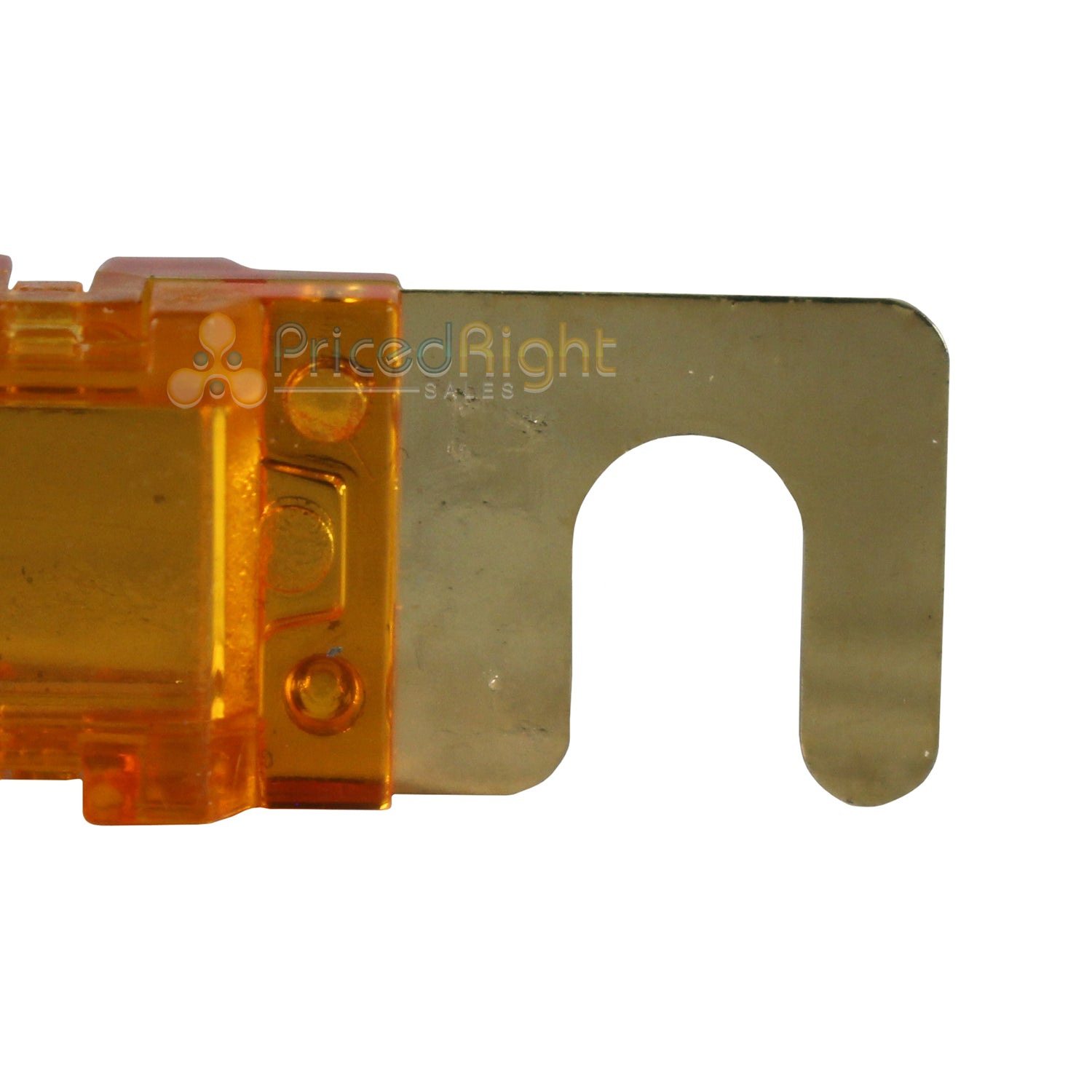 Xscorpion Mini ANL Fuses Gold Plated 150 Amp 3 Pack MANL150G