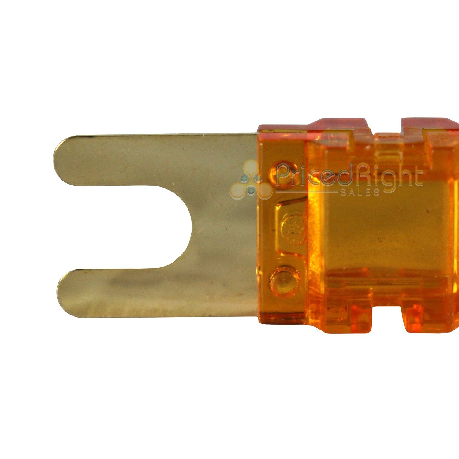 Xscorpion Mini ANL Fuses Gold Plated 150 Amp 3 Pack MANL150G