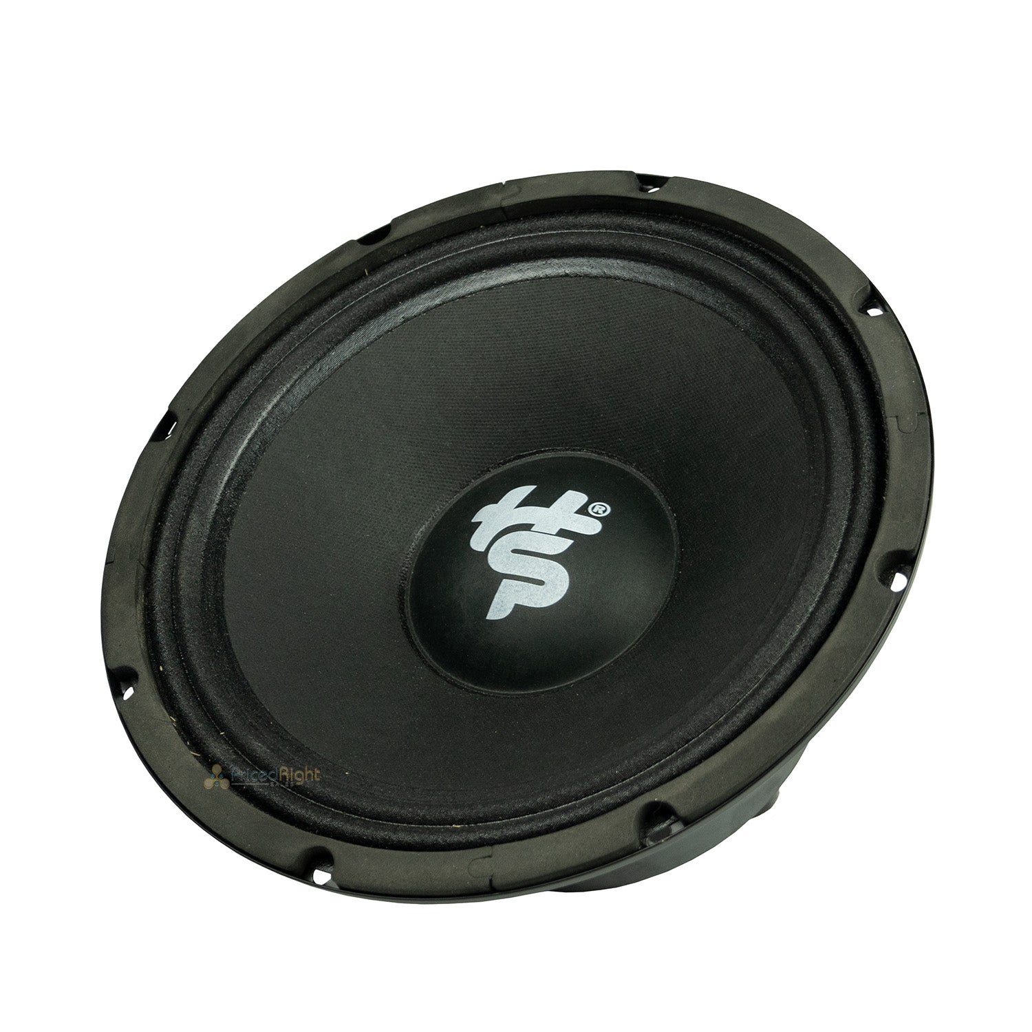 Heath Sound 10" 600W Max 300W RMS Midrange 8 Ohm Black Bass Speaker HSCS-MB10