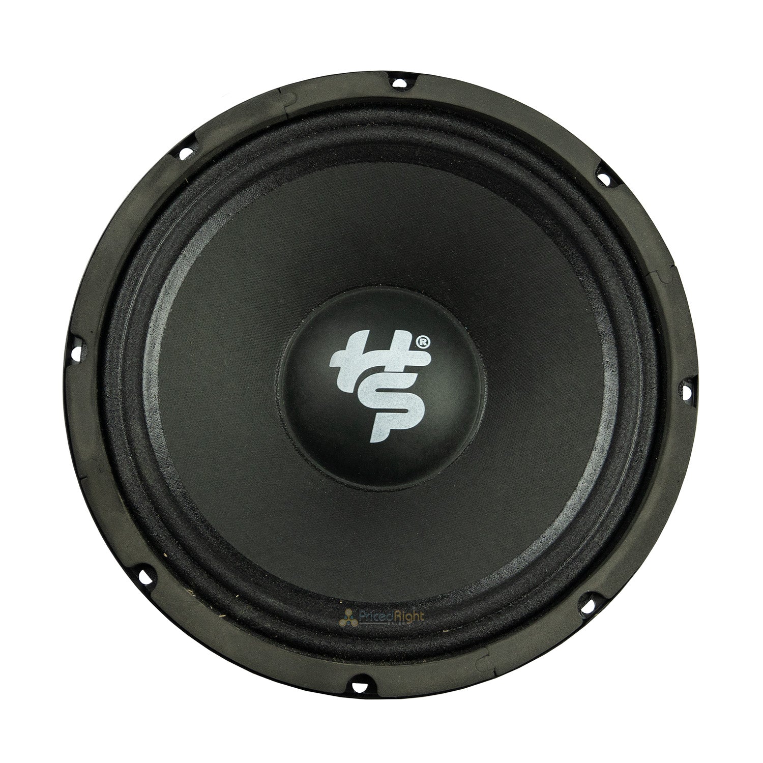 Heath Sound 10" 600W Max 300W RMS Midrange 8 Ohm Black Bass Speaker HSCS-MB10